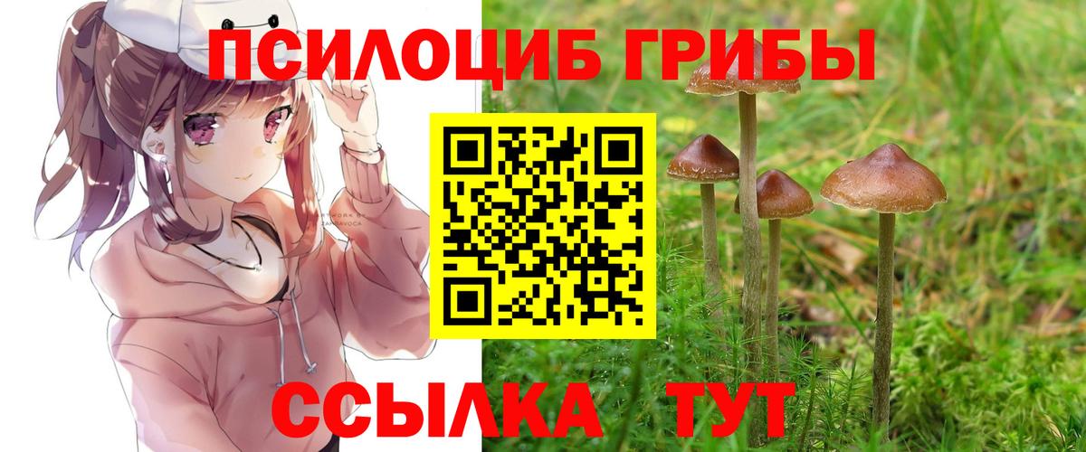 Галлюциногенные грибы ЛСД Каменка
